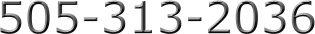 505-313-2036