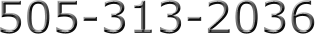 505-313-2036