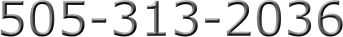 505-313-2036